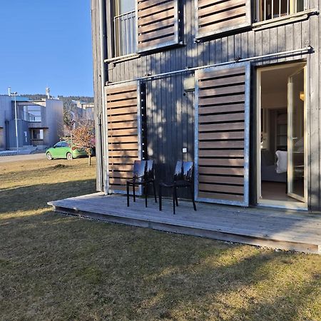 Apartman Sova - Klinovec Loučná pod Klínovcem Buitenkant foto