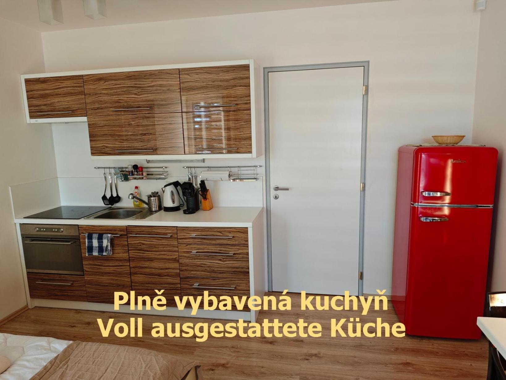 Apartman Sova - Klinovec Loučná pod Klínovcem Buitenkant foto